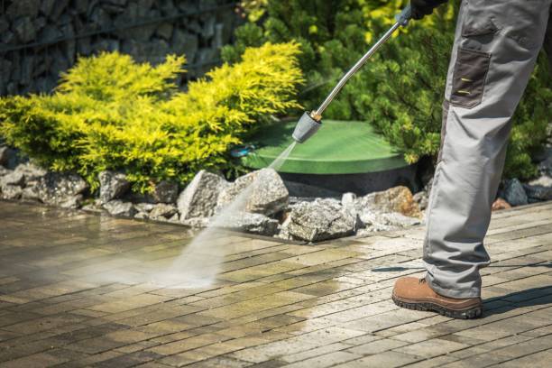 Best Driveway Pressure Washing  in New Haven, WV