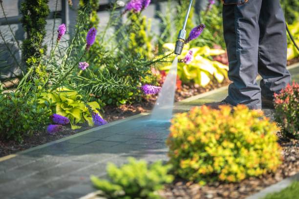 Best Gutter Cleaning  in New Haven, WV