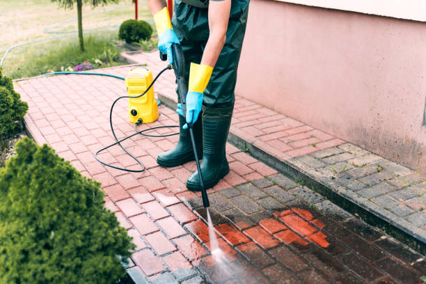 Best House Exterior Washing  in New Haven, WV