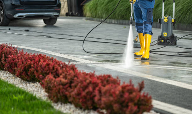 Best Roof Washing  in New Haven, WV
